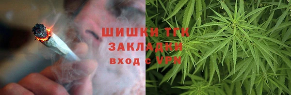 индика Белоозёрский