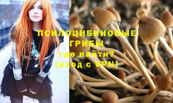 гашик Беломорск