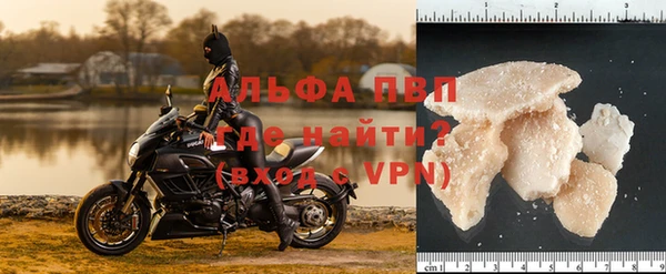 индика Белоозёрский