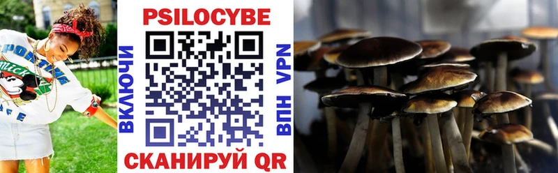 наркота  Вытегра  Псилоцибиновые грибы Psilocybe 